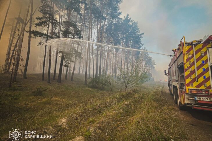 Новини України - На Харківщині триває ліквідація лісової пожежі