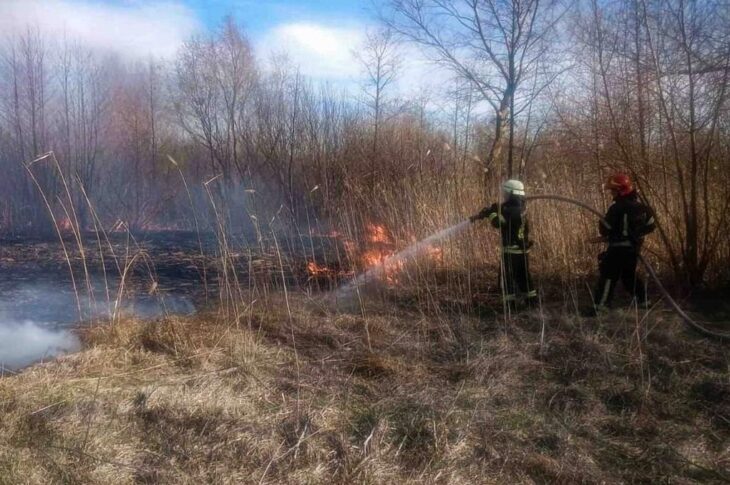Новини України - На Київщині двоє людей загинули через спалювання сухої трави