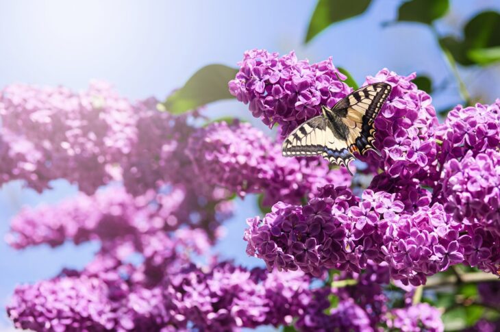 Новини України - Похолодання і грози: прогноз погоди на вихідні