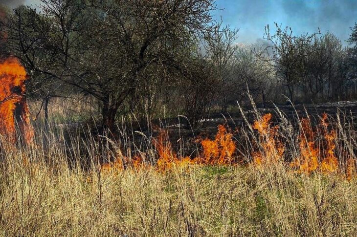 Новини України - Пожежа сухостою на Львівщині: згоріло 11 дачних будинків