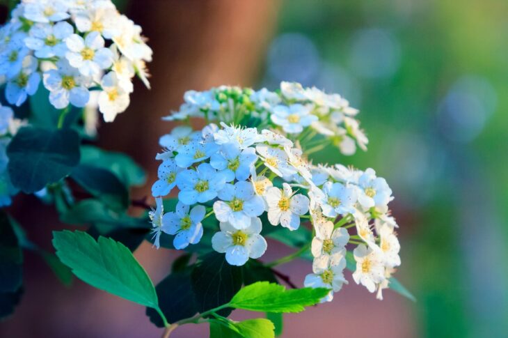 Новини України - Тепло і грози: прогноз погоди на 22-23 квітня