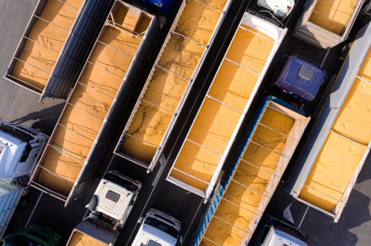 Новини бізнесу - Україна скоротила експорт зерна