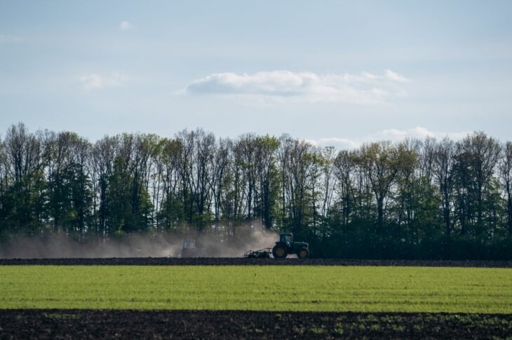 Новини бізнесу - В Україні стартувала сівба гречки