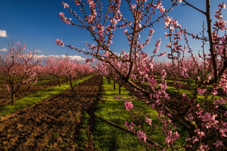 Новини України - В Україні температура повітря прогріється до +20&deg;C