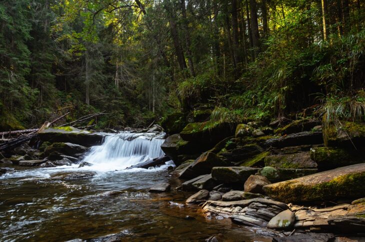Новини України - В Україні збільшать штрафи за шкоду заповідникам у 50 разів
