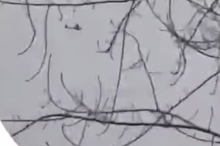 Новини світу - Завод дронів в РФ атакували безпілотники - ЦПД