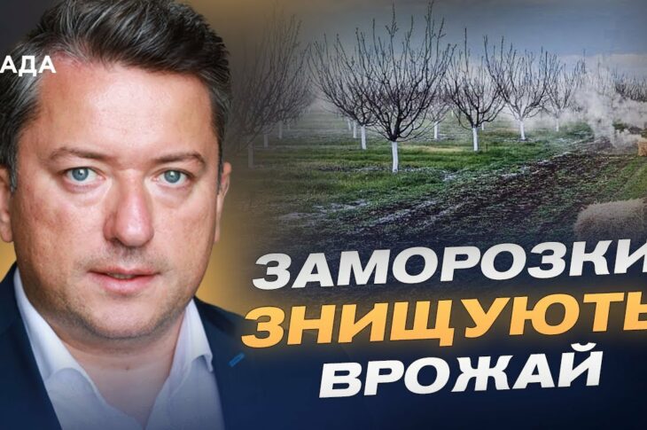 Заморозки ЗНИЩУЮТЬ врожай: що буде з цінами на фрукти та зерно? | Дмитро Соломчук
