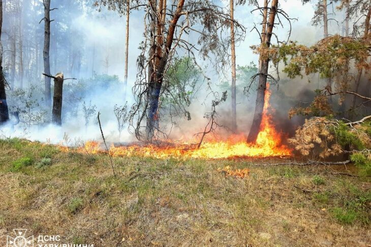Новини України - На Харківщині триває ліквідація 11 лісових пожеж