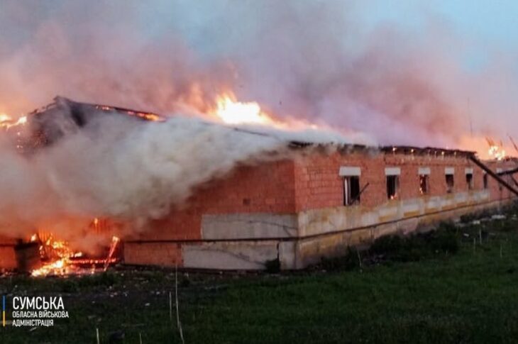 Новини України - На Сумщині загинули сотні свійських тварин через російську атаку