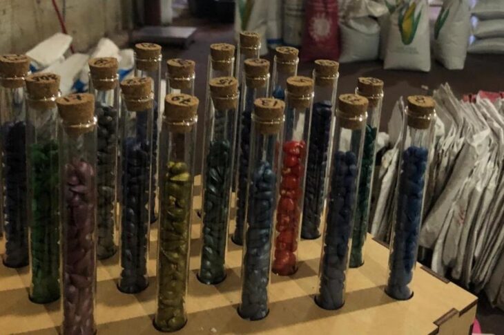 Новини України - Під Києвом виготовляли контрафактне насіння відомих брендів