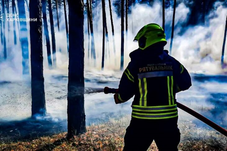 Новини України - Рятувальники ліквідували п&rsquo;ять лісових пожеж на Харківщині