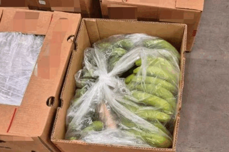 Новини світу - У Норвегії вилучили найбільший за два роки вантаж кокаїну у бананах