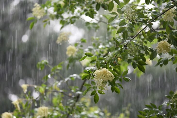 Новини України - Короткочасні дощі охоплять більшість регіонів на вихідні