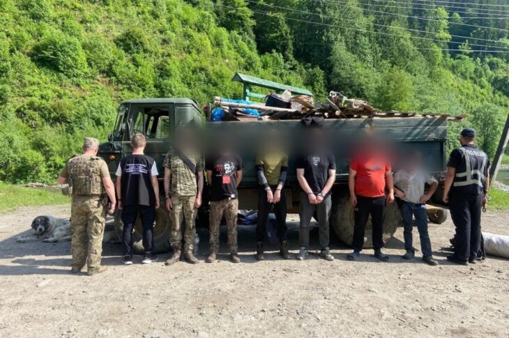 Новини України - Кози, свині й ухилянти - на Закарпатті викрили схему перевізників