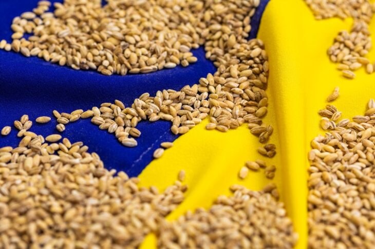 Новини бізнесу - Став відомий найбільший імпортер агропродукції України серед країн ЄС