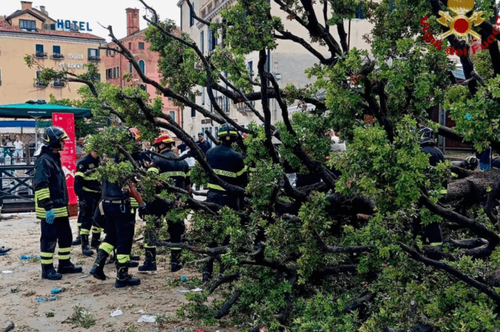 Новини світу - У центрі Венеції 50-річне дерево впало на туристів