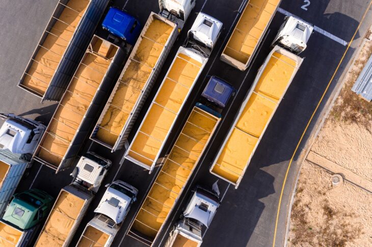 Новини бізнесу - Україна наростила експорт жита