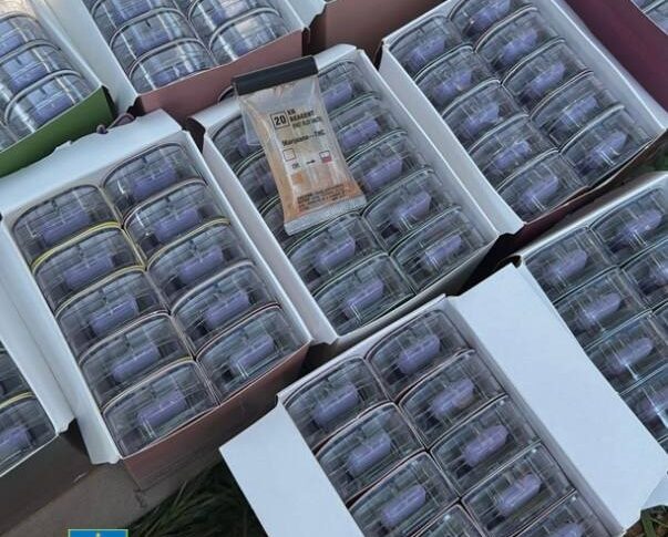 Новини України - В Україні викрили міжнародний канал наркопостачання
