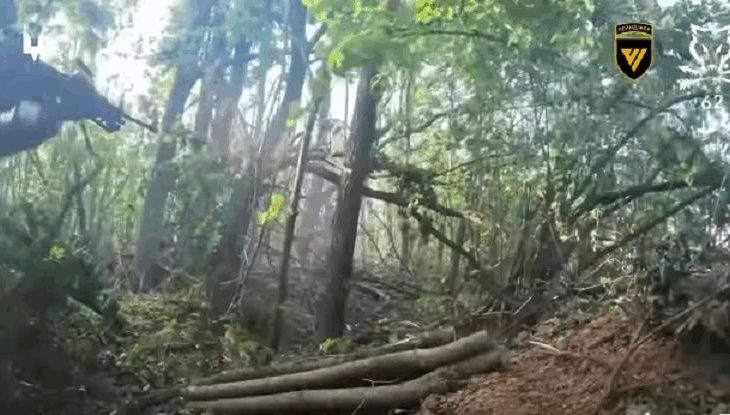 Новини України - Знищено росіян, які намагалися штурмувати Сумщину