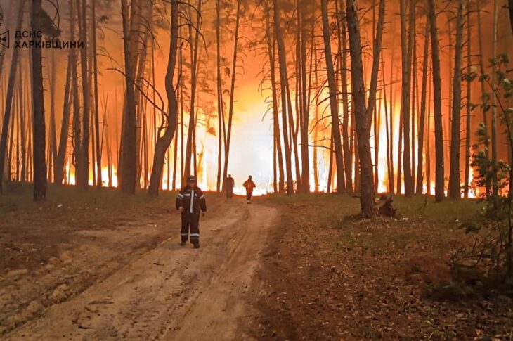 Новини України - На Харківщині вирують масштабні лісові пожежі