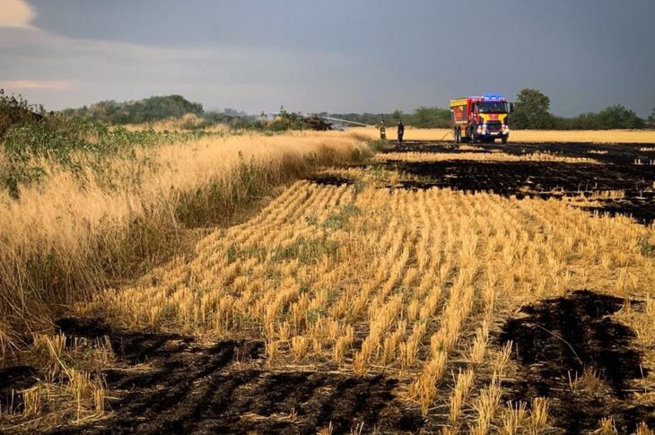 Новини України - На Миколаївщині вигоріло 70 гектарів пшениці