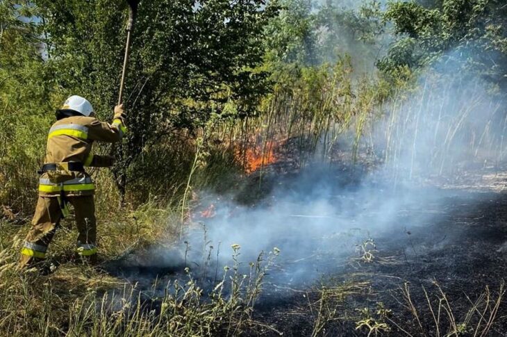 Новини України - На Одещині вирують масштабні пожежі: є жертва