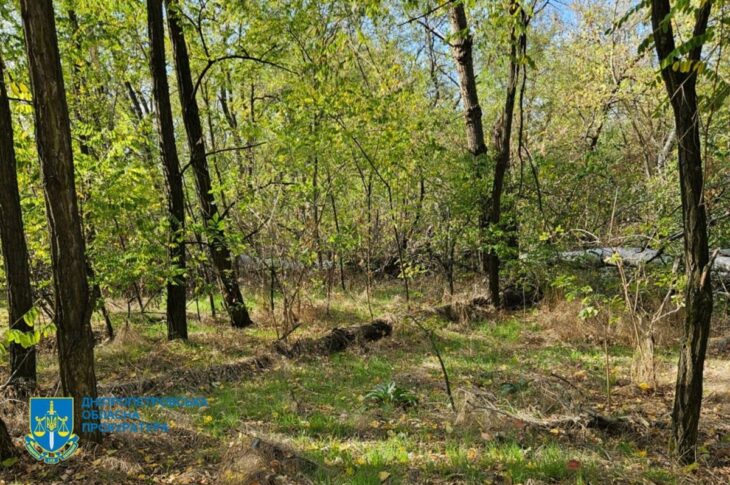 Новини України - Незаконна вирубка лісу на Дніпропетровщині призвела до 34 млн збитків