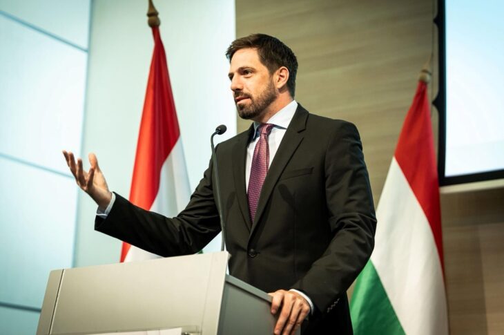 Новини України - Посла України викликали в МЗС Угорщини через смерть мобілізованого угорця