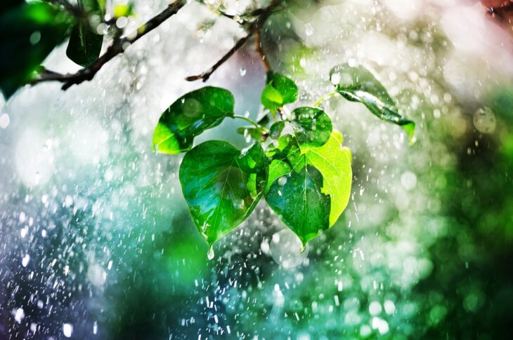 Новини України - В Україні чергуватимуть грози зі спекою до +37&deg;