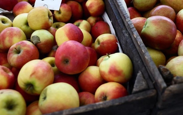 Новини бізнесу - В Україні подорожчали яблука нового врожаю