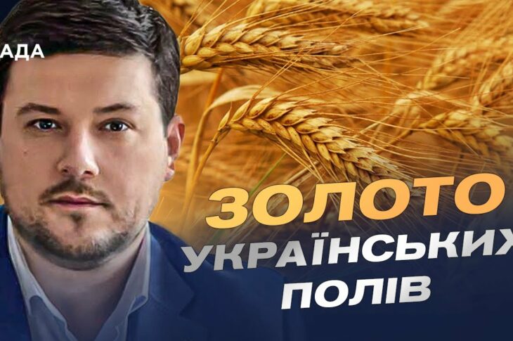 Український хліб 2025: як ідуть жнива та які прогнози | Денис Марчук