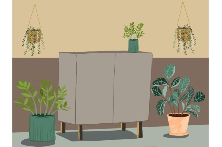 Новини бізнесу - Зелений оазис у розпалі літа: як кімнатні рослини рятують від спеки та стресу