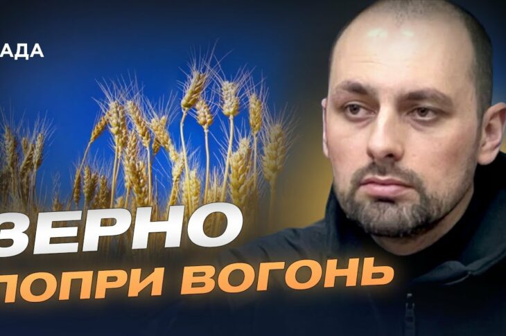 Українське зерно на світових ринках: результати та перспективи | Олександр Семирга