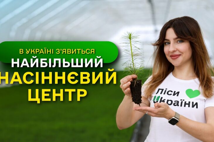НАЙБІЛЬШИЙ в Україні ЗАВОД з виробництва СІЯНЦІВ / ДП "Ліси України" виконує програму ЗЕЛЕНА КРАЇНА