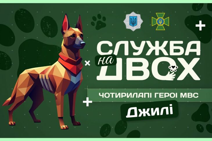🛂 ДЖИЛІ - собака-прикордонниця після окупації | Служба на двох