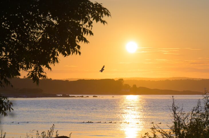 Новини світу - Липень став третім найспекотнішим за всю історію спостережень