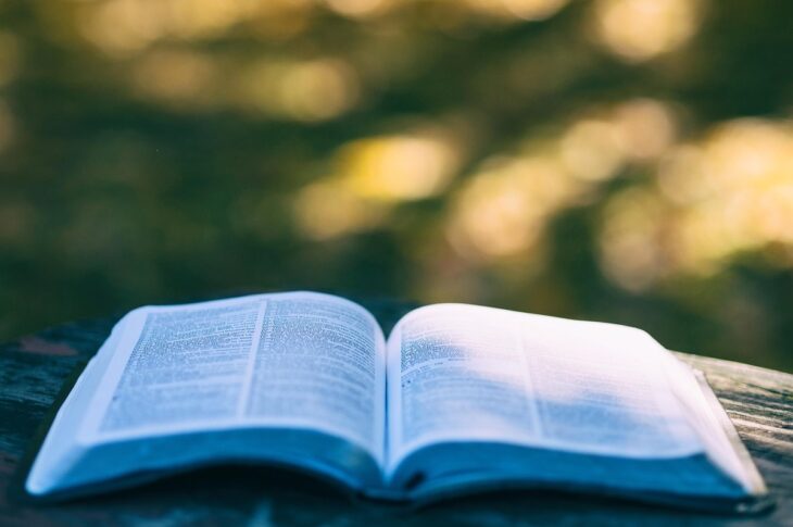 Новини світу - Нові слова з TikTok потрапили до Кембриджського словника