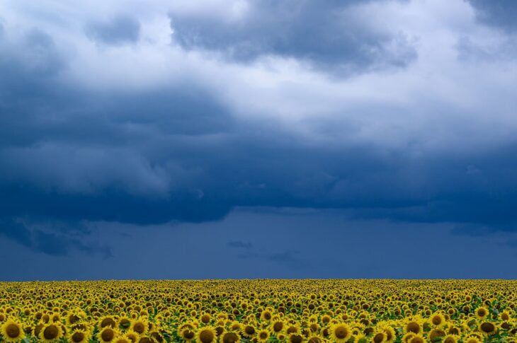 Новини України - В Україні прогнозують до +33°, подекуди грози та град