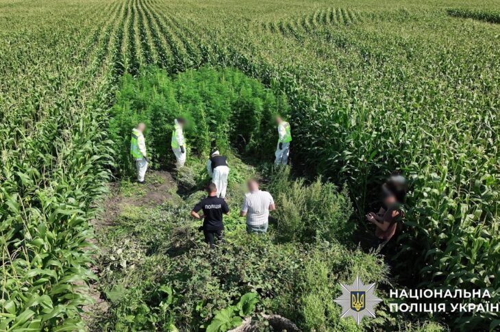 Новини України - В Україні провели масштабну операцію Джентельмени