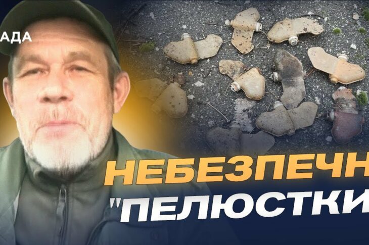 Чим небезпечні міни "пелюстки" та як поводитися при їх виявленні | Руслан Пятковский