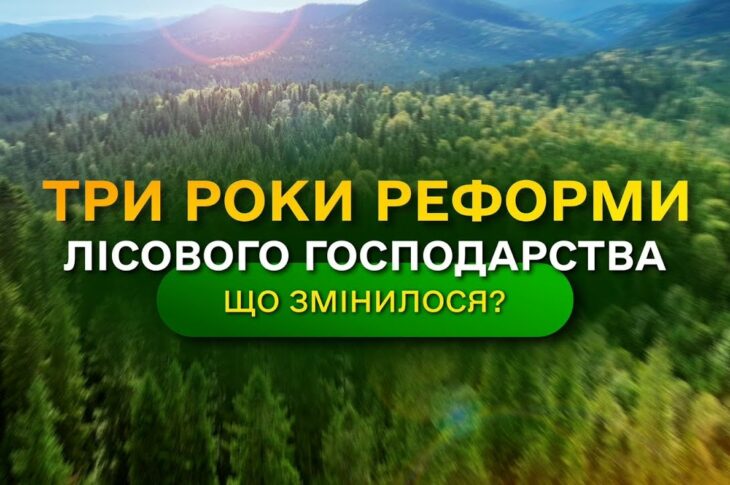 Результати ЛІСОВОЇ РЕФОРМИ - що отримала УКРАЇНА? / ДП "Ліси України"
