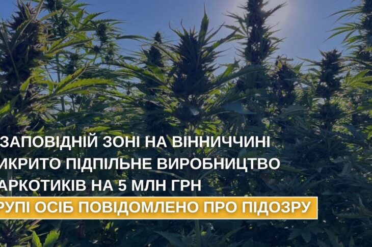 У заповідній зоні на Вінниччині викрито підпільне виробництво наркотиків на 5 млн грн