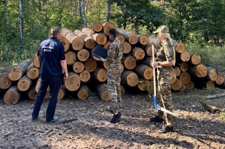 Новини України - ДБР оголосило підозру екскерівнику лісгоспу Харківщини