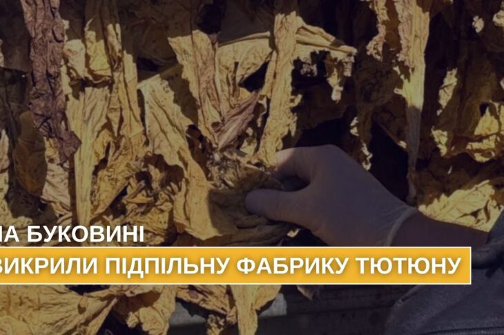 На Буковині викрито та припинено підпільне виробництво тютюну, який реалізовували по всій країні