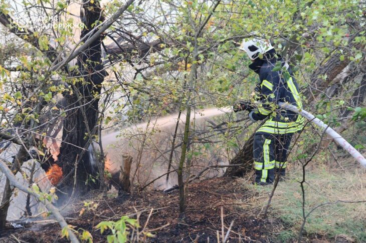 Новини України - Рятувальники другу добу гасять пожежу на Хортиці