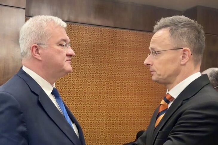 Новини України - Сибіга обговорив з Сійярто рух України в ЄС