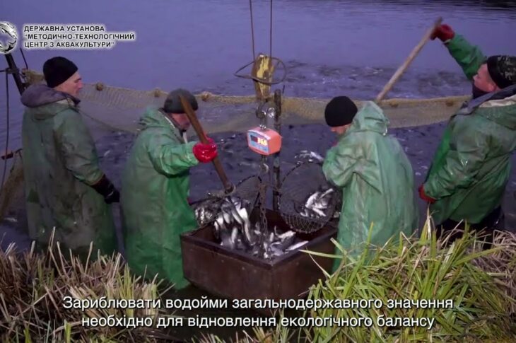 ❗️Відновлення водних біоресурсів – шлях до екологічного балансу та сталого розвитку