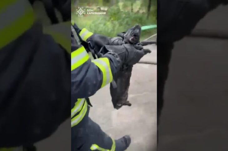 Кожне_життя_важливе