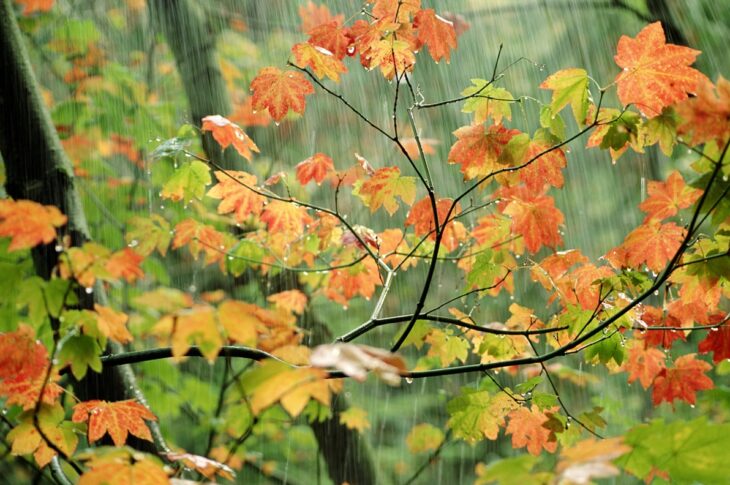 Новини України - Дощі та грози, з потеплінням до +20&deg;: погода на вихідні