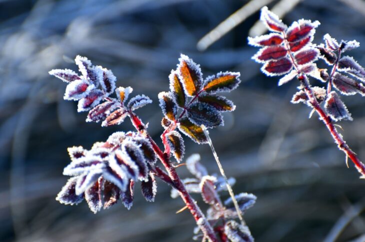 Новини України - Дощі та нічні заморозки: погода на початок тижня